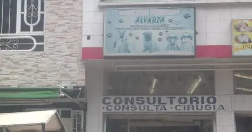 CONSULTORIO VETERINARIO ALVARZA BOGOTÁ CONSULTORIO VETERINARIO ALVARZA BOGOTÁ